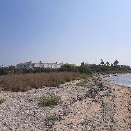 Villa Anastassia أيا نابا المظهر الخارجي الصورة