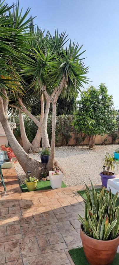 Villa Anastassia أيا نابا المظهر الخارجي الصورة
